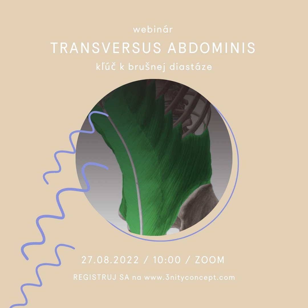 traversus-abdominis